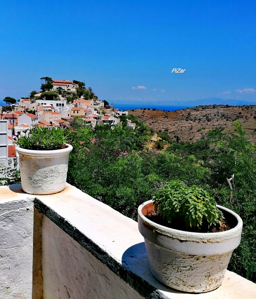 κέα βασιλικός