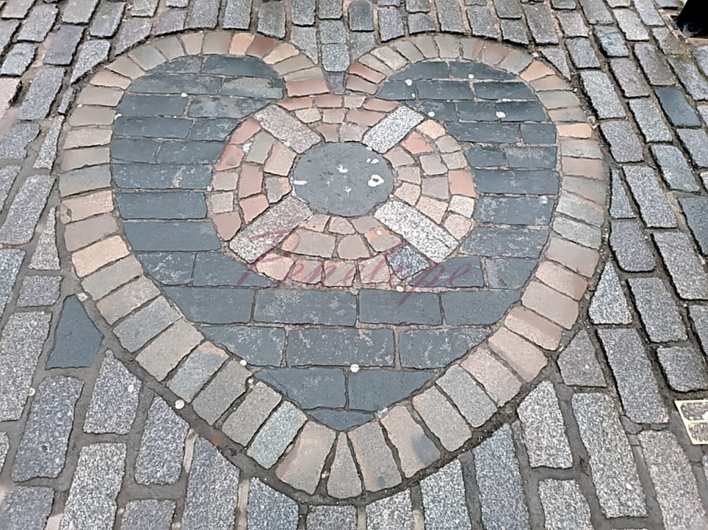 heart of midlothian