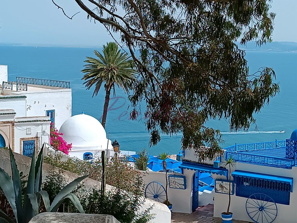 Σίντι Μπου Σαιντ