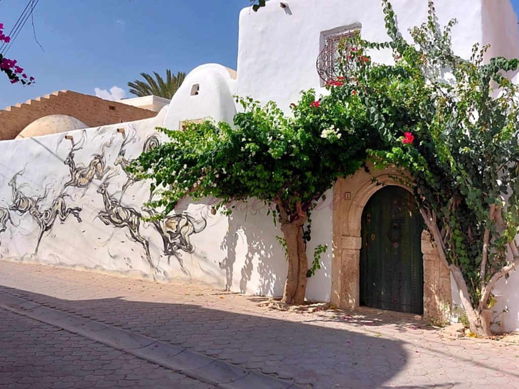 σπίτι τζέρμπα