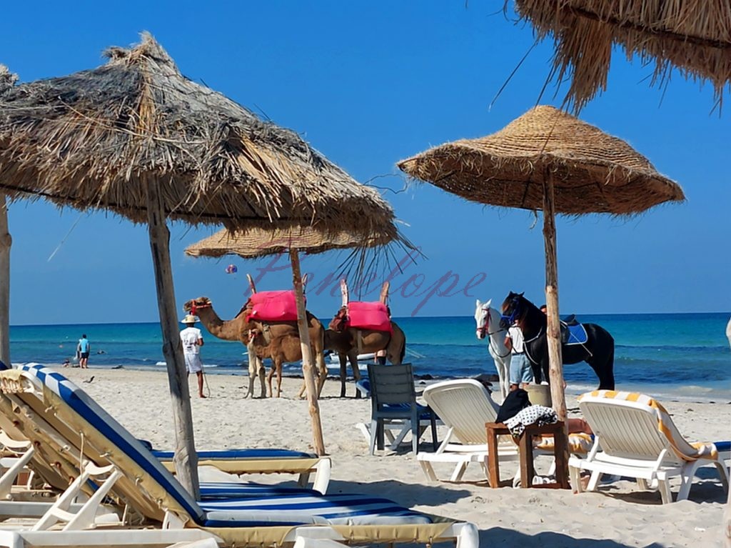 παραλία τζερμπα